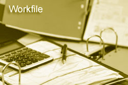 Workfile Management