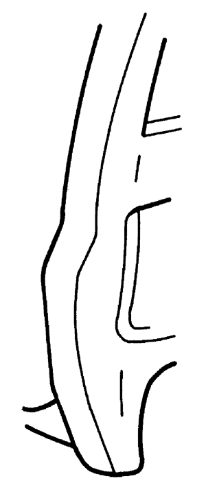 images\pickup_truck_cab_corner.gif